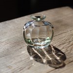 写真: モール一輪